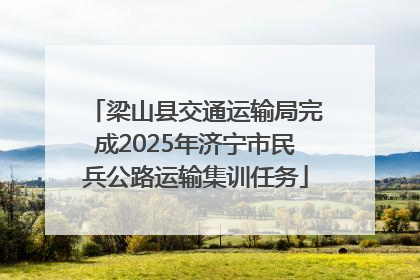 梁山县交通运输局完成2025年济宁市民兵公路运输集训任务