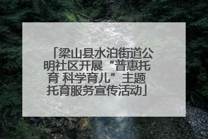 梁山县水泊街道公明社区开展“普惠托育 科学育儿”主题托育服务宣传活动
