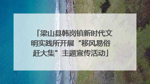 梁山县韩岗镇新时代文明实践所开展“移风易俗赶大集”主题宣传活动