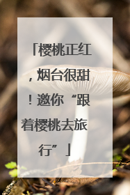 樱桃正红，烟台很甜！邀你“跟着樱桃去旅行”
