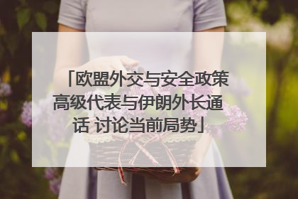 欧盟外交与安全政策高级代表与伊朗外长通话 讨论当前局势