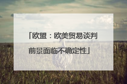 欧盟：欧美贸易谈判前景面临不确定性