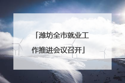 潍坊全市就业工作推进会议召开