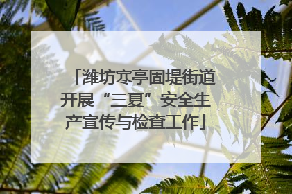 潍坊寒亭固堤街道开展“三夏”安全生产宣传与检查工作