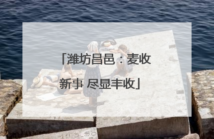 潍坊昌邑：麦收新事 尽显丰收