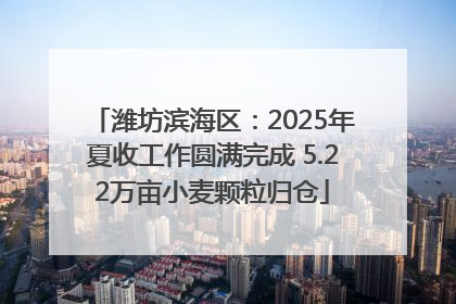 潍坊滨海区：2025年夏收工作圆满完成 5.22万亩小麦颗粒归仓