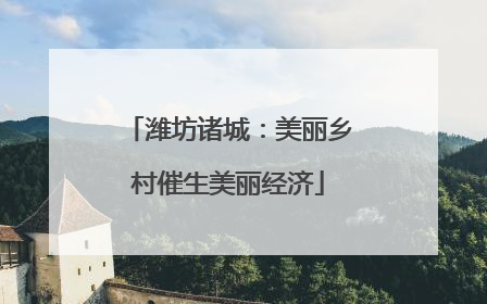 潍坊诸城：美丽乡村催生美丽经济