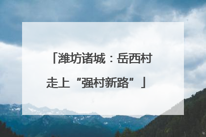 潍坊诸城：岳西村走上“强村新路”