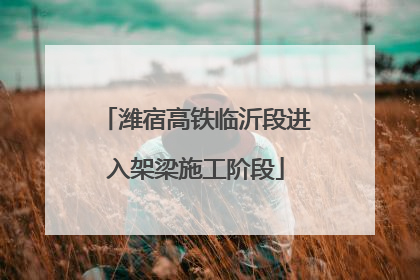 潍宿高铁临沂段进入架梁施工阶段