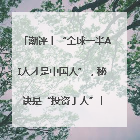 潮评丨“全球一半AI人才是中国人”，秘诀是“投资于人”