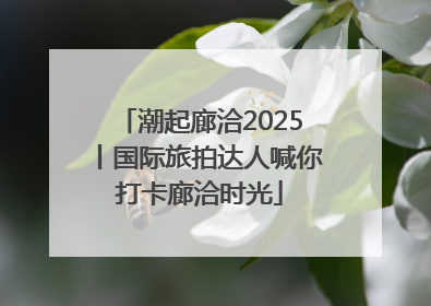 潮起廊洽2025丨国际旅拍达人喊你打卡廊洽时光