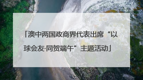 澳中两国政商界代表出席“以球会友·同贺端午”主题活动
