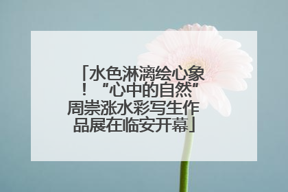 水色淋漓绘心象！“心中的自然”周崇涨水彩写生作品展在临安开幕
