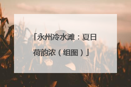 永州冷水滩：夏日荷韵浓（组图）
