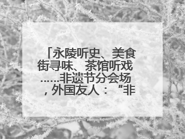 永陵听史、美食街寻味、茶馆听戏……非遗节分会场，外国友人：“非常棒”