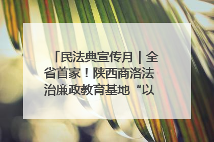 民法典宣传月｜全省首家！陕西商洛法治廉政教育基地“以案说纪”润人心