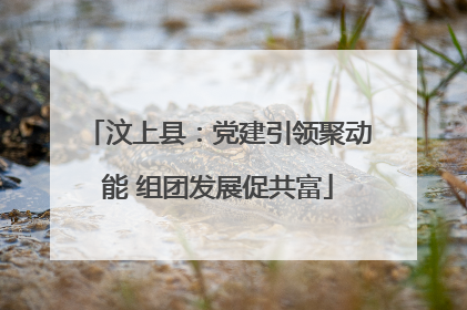 汶上县：党建引领聚动能 组团发展促共富