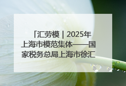 汇劳模｜2025年上海市模范集体——国家税务总局上海市徐汇区税务局第一税务所