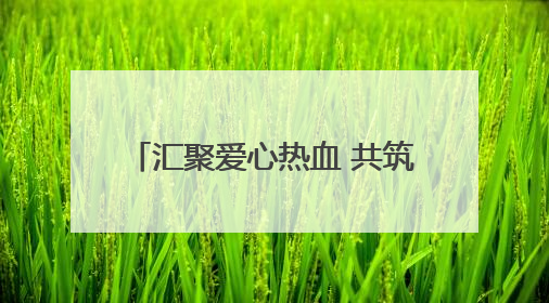 汇聚爱心热血 共筑生命桥梁 菏泽单县召开2025年无偿献血工作启动仪式