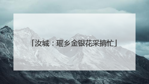 汝城：瑶乡金银花采摘忙