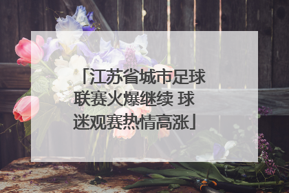 江苏省城市足球联赛火爆继续 球迷观赛热情高涨