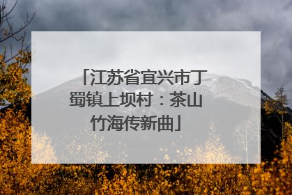 江苏省宜兴市丁蜀镇上坝村：茶山竹海传新曲
