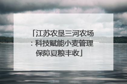 江苏农垦三河农场：科技赋能小麦管理保障夏粮丰收