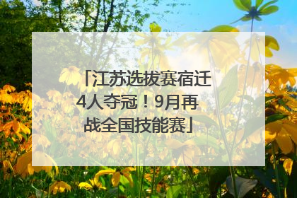 江苏选拔赛宿迁4人夺冠！9月再战全国技能赛