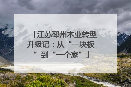 江苏邳州木业转型升级记：从“一块板”到“一个家”