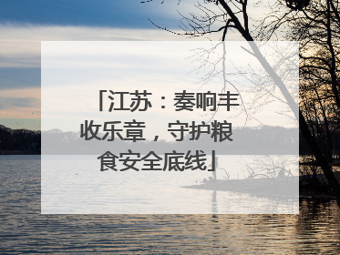 江苏：奏响丰收乐章，守护粮食安全底线