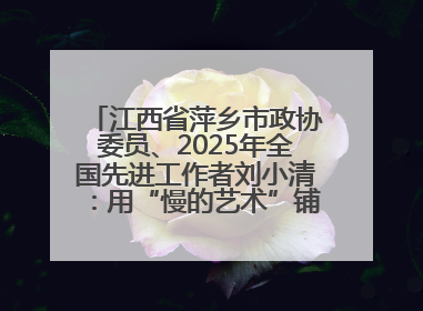 江西省萍乡市政协委员、2025年全国先进工作者刘小清：用“慢的艺术”铺就“爱的长征”