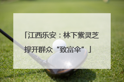 江西乐安：林下紫灵芝撑开群众“致富伞”