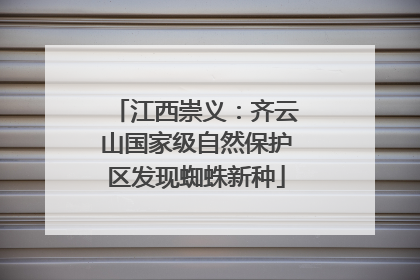 江西崇义：齐云山国家级自然保护区发现蜘蛛新种