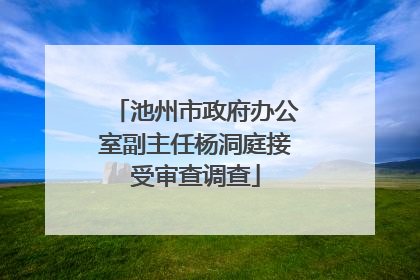 池州市政府办公室副主任杨洞庭接受审查调查