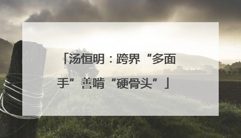 汤恒明：跨界“多面手”善啃“硬骨头”