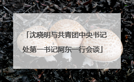 沈晓明与共青团中央书记处第一书记阿东一行会谈
