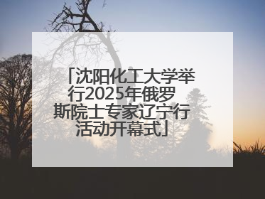 沈阳化工大学举行2025年俄罗斯院士专家辽宁行活动开幕式