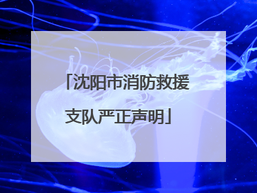 沈阳市消防救援支队严正声明