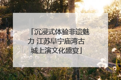 沉浸式体验非遗魅力 江苏阜宁庙湾古城上演文化盛宴