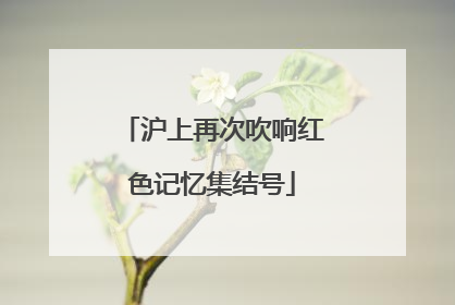 沪上再次吹响红色记忆集结号