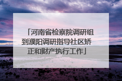河南省检察院调研组到濮阳调研指导社区矫正和财产执行工作
