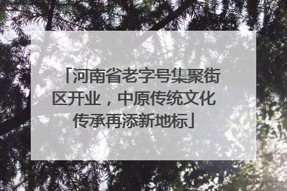 河南省老字号集聚街区开业，中原传统文化传承再添新地标
