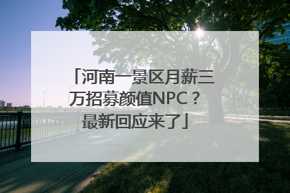 河南一景区月薪三万招募颜值NPC？最新回应来了