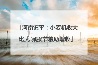 河南镇平：小麦机收大比武 减损节粮助增收