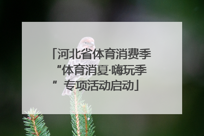 河北省体育消费季“体育消夏·嗨玩季”专项活动启动