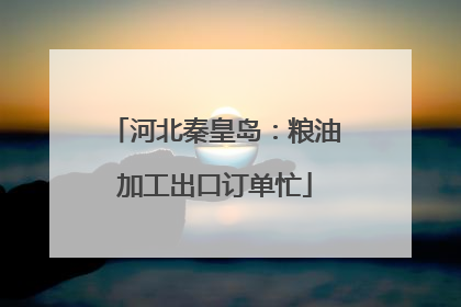 河北秦皇岛：粮油加工出口订单忙