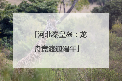 河北秦皇岛：龙舟竞渡迎端午