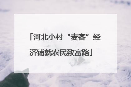 河北小村“麦客”经济铺就农民致富路