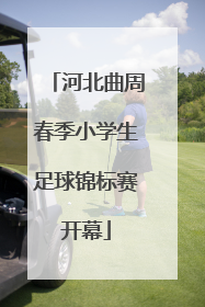 河北曲周春季小学生足球锦标赛开幕