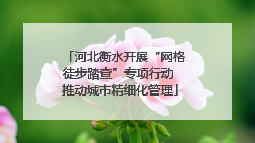 河北衡水开展“网格徒步踏查”专项行动 推动城市精细化管理